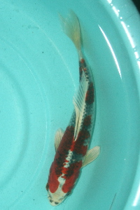 20111120 240-200.jpg